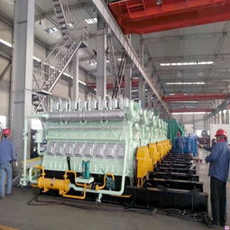 濰坊生物質發電機組 重能動力解決方案與財務咨詢