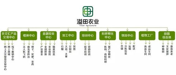 溢田農(nóng)業(yè) 現(xiàn)代供應(yīng)鏈管理與財務(wù)咨詢雙輪驅(qū)動的創(chuàng)新實踐